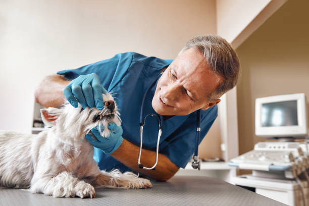 Best Emergency Tooth Extraction in Rio Grande, NJ